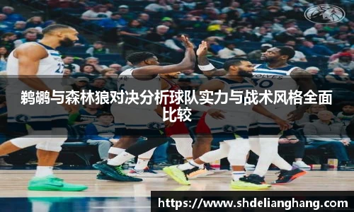 鹈鹕与森林狼对决分析球队实力与战术风格全面比较